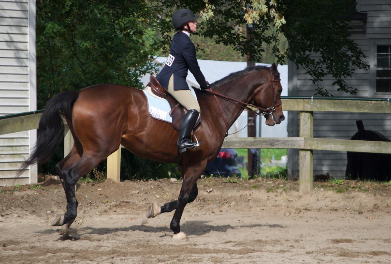 Photo for WOMEN'S EQUESTRIAN PLACES THIRD AT TUFTS UNIVERSITY image 5