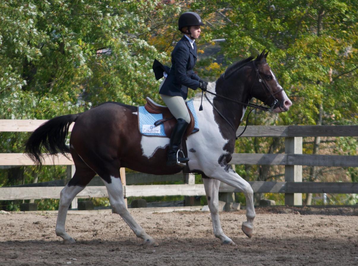 Photo for WOMEN'S EQUESTRIAN PLACES THIRD AT TUFTS UNIVERSITY image 7