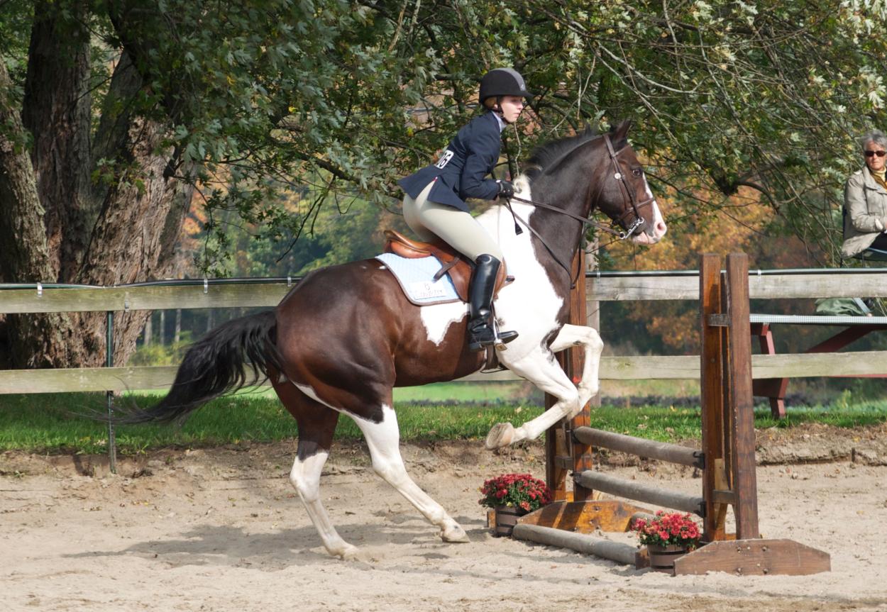 Photo for WOMEN'S EQUESTRIAN PLACES THIRD AT TUFTS UNIVERSITY image 11