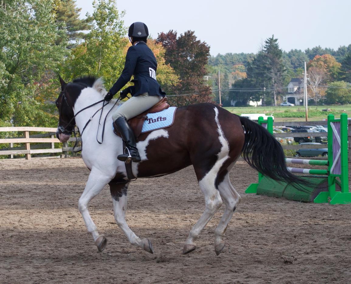 Photo for WOMEN'S EQUESTRIAN PLACES THIRD AT TUFTS UNIVERSITY image 13