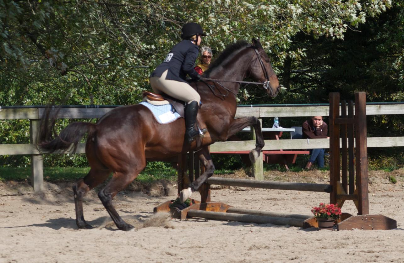 Photo for WOMEN'S EQUESTRIAN PLACES THIRD AT TUFTS UNIVERSITY image 17