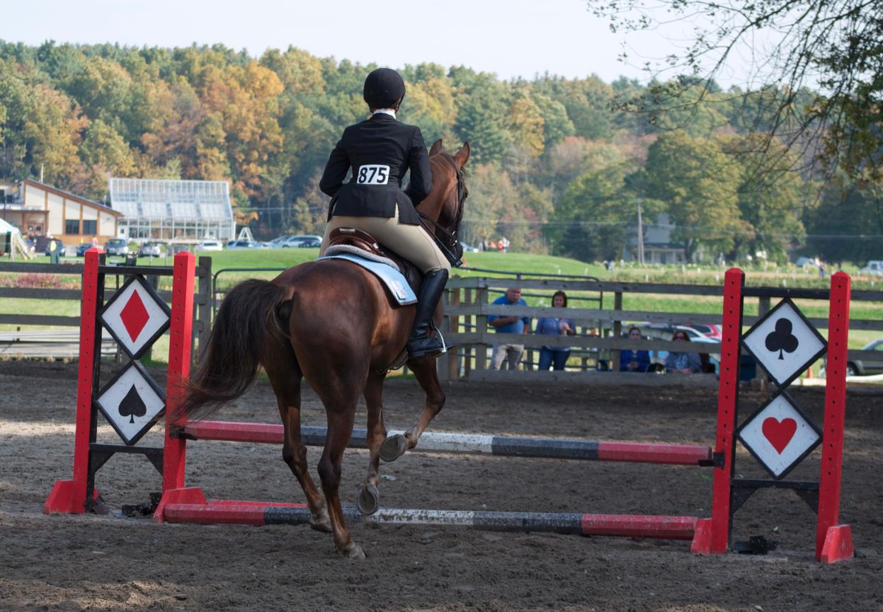 Photo for WOMEN'S EQUESTRIAN PLACES THIRD AT TUFTS UNIVERSITY image 19