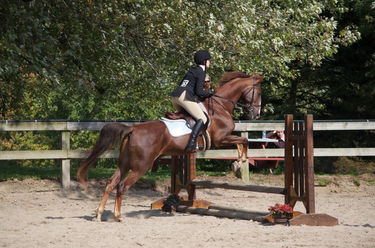 Photo for WOMEN'S EQUESTRIAN PLACES THIRD AT TUFTS UNIVERSITY image 21