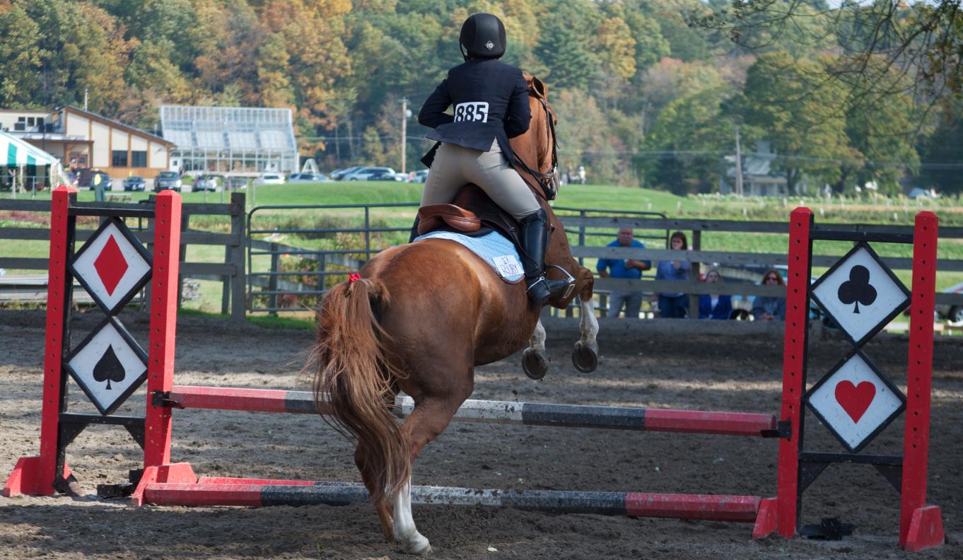 Photo for WOMEN'S EQUESTRIAN PLACES THIRD AT TUFTS UNIVERSITY image 25