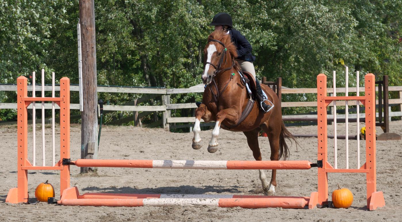 Photo for WOMEN'S EQUESTRIAN PLACES THIRD AT TUFTS UNIVERSITY image 27