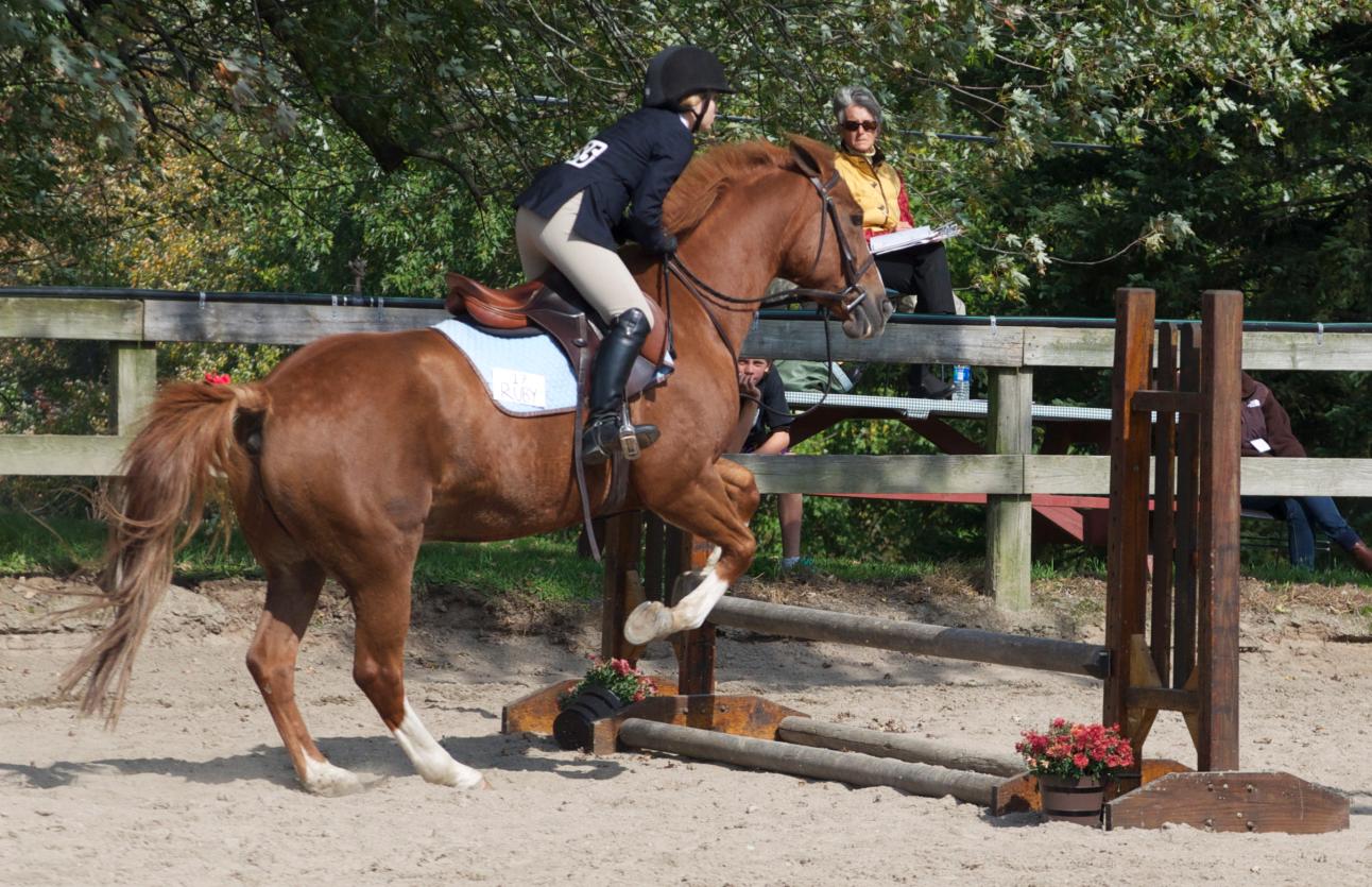 Photo for WOMEN'S EQUESTRIAN PLACES THIRD AT TUFTS UNIVERSITY image 29