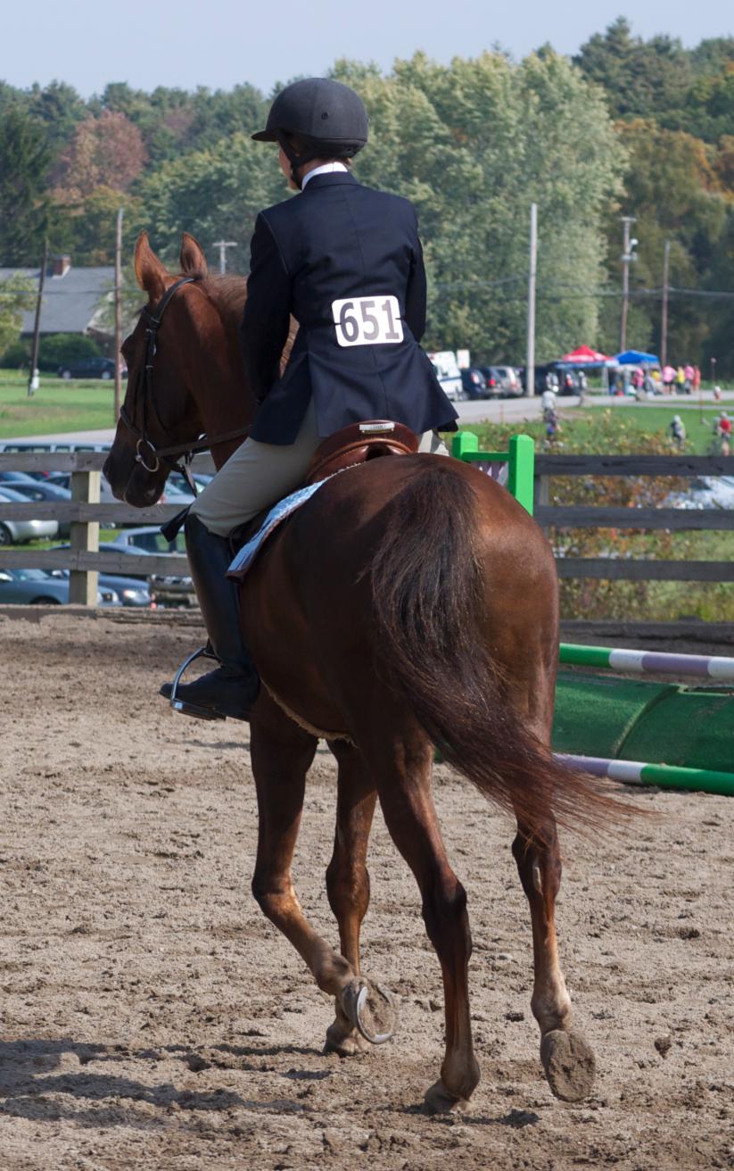 Photo for WOMEN'S EQUESTRIAN PLACES THIRD AT TUFTS UNIVERSITY image 31
