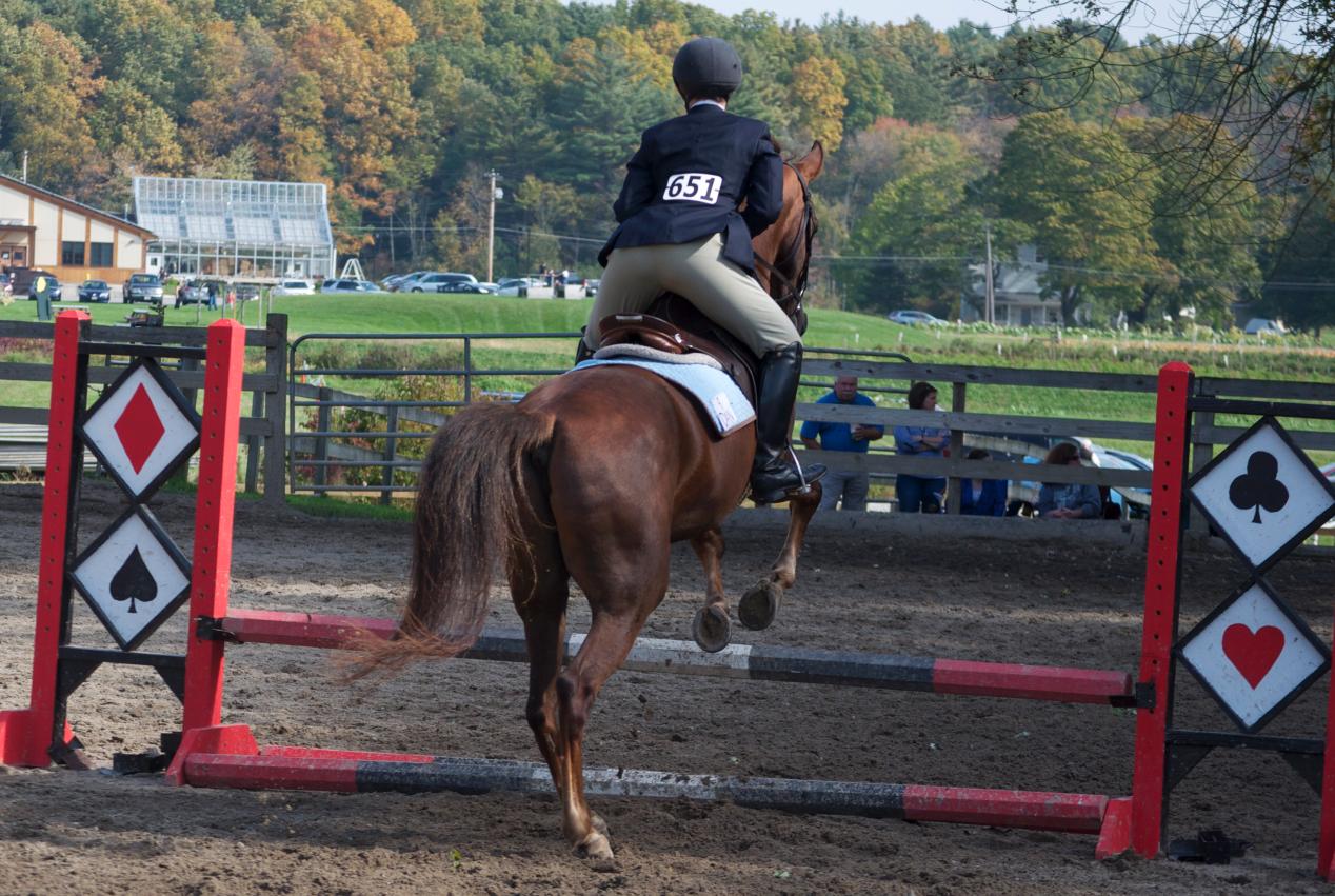 Photo for WOMEN'S EQUESTRIAN PLACES THIRD AT TUFTS UNIVERSITY image 33