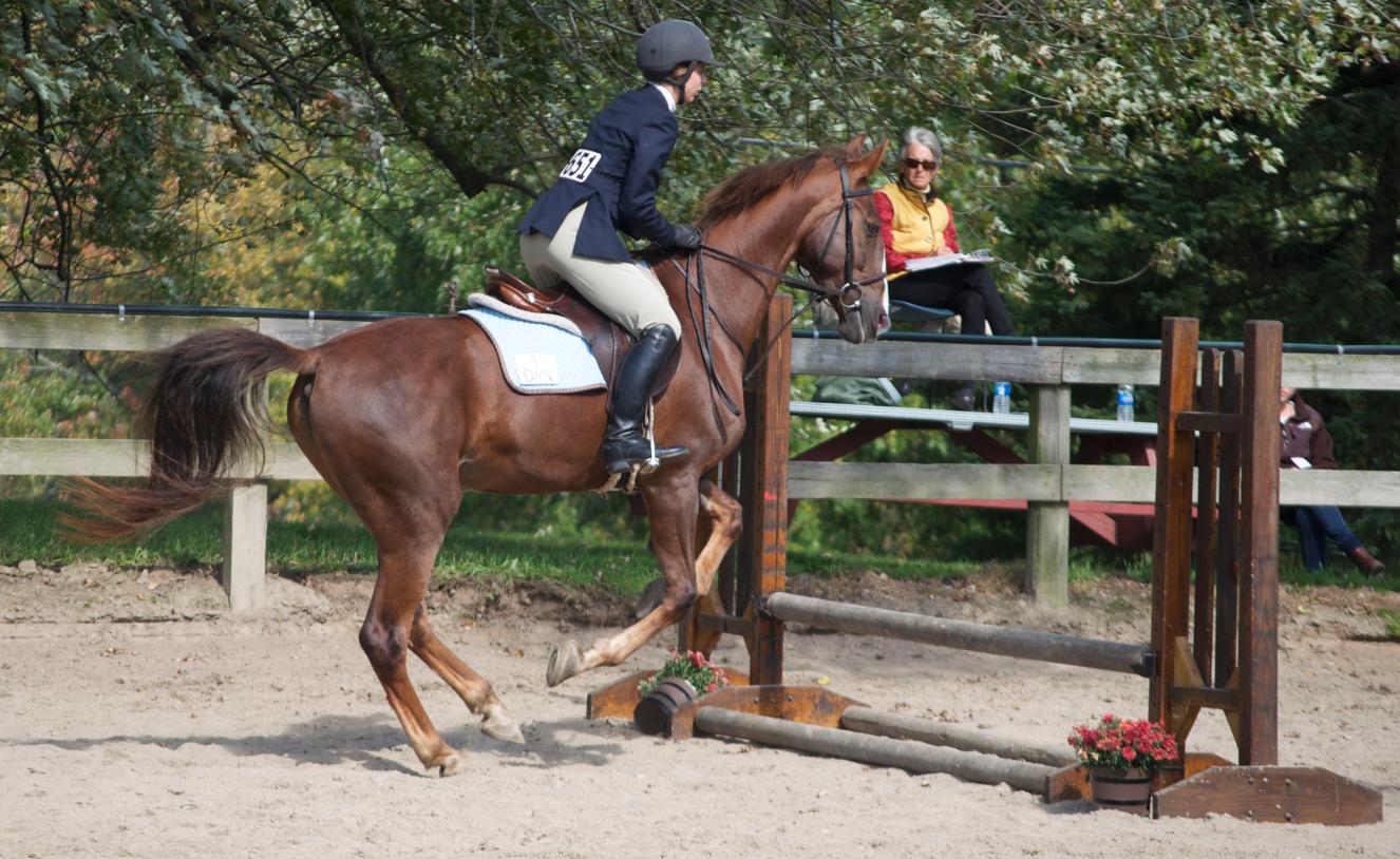 Photo for WOMEN'S EQUESTRIAN PLACES THIRD AT TUFTS UNIVERSITY image 35