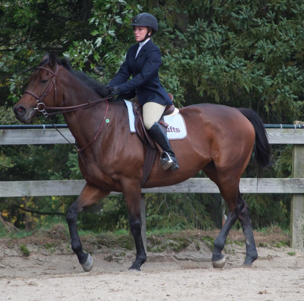 Photo for WOMEN'S EQUESTRIAN PLACES THIRD AT TUFTS UNIVERSITY image 43