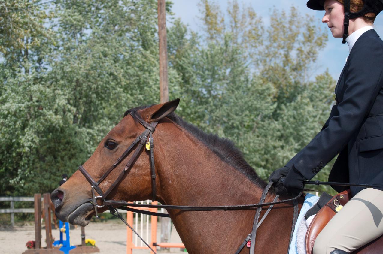 Photo for WOMEN'S EQUESTRIAN PLACES THIRD AT TUFTS UNIVERSITY image 49