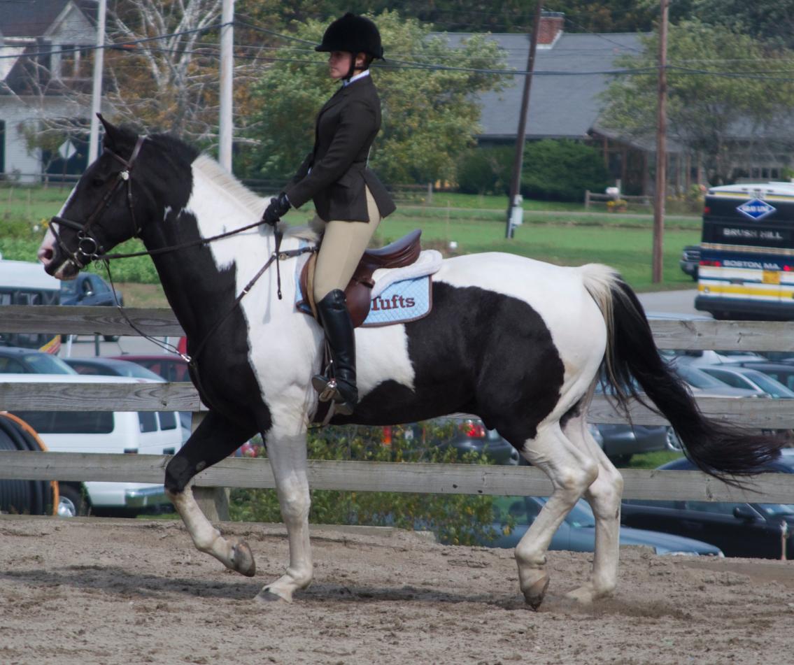 Photo for WOMEN'S EQUESTRIAN PLACES THIRD AT TUFTS UNIVERSITY image 51
