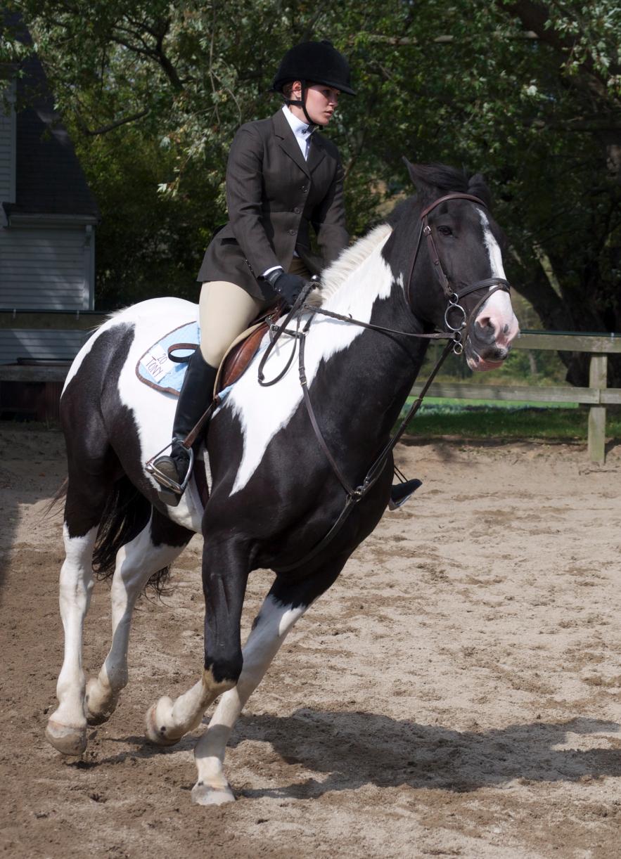 Photo for WOMEN'S EQUESTRIAN PLACES THIRD AT TUFTS UNIVERSITY image 53