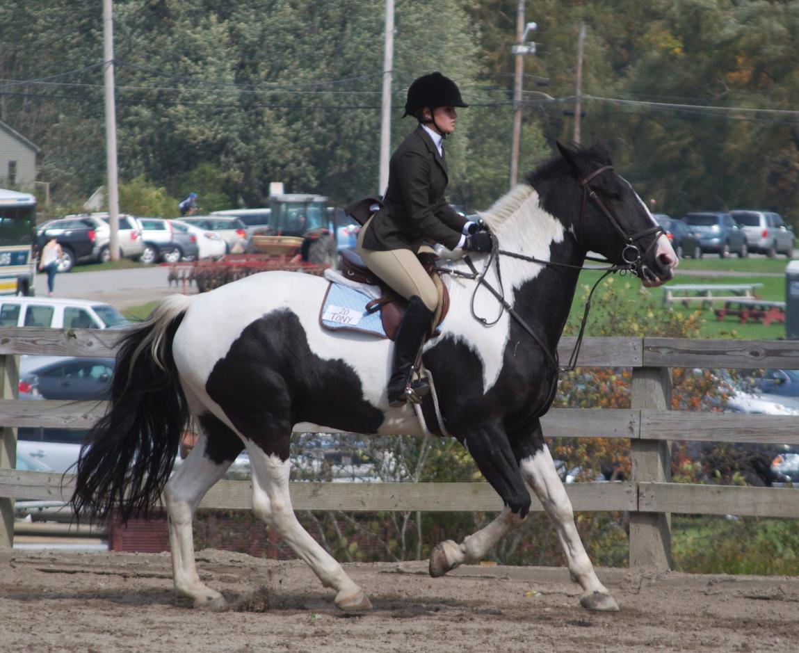 Photo for WOMEN'S EQUESTRIAN PLACES THIRD AT TUFTS UNIVERSITY image 59