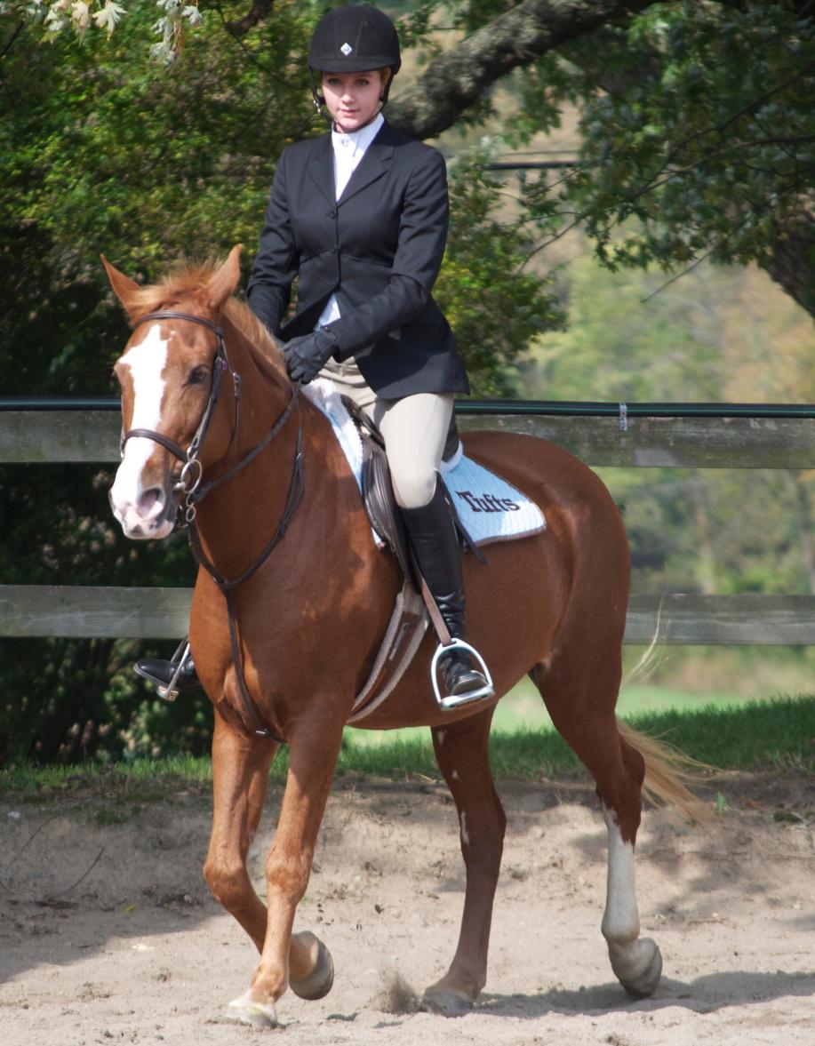 Photo for WOMEN'S EQUESTRIAN PLACES THIRD AT TUFTS UNIVERSITY image 63