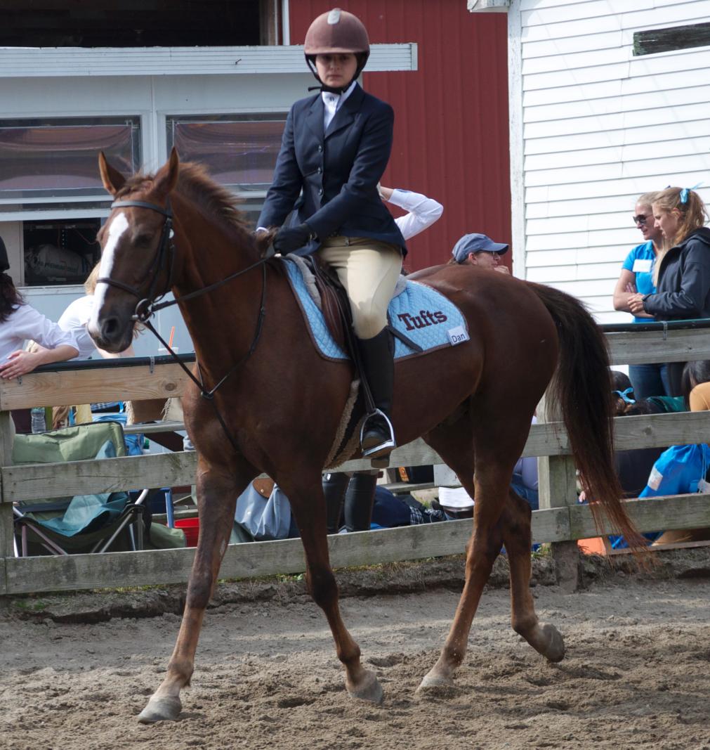 Photo for WOMEN'S EQUESTRIAN PLACES THIRD AT TUFTS UNIVERSITY image 71