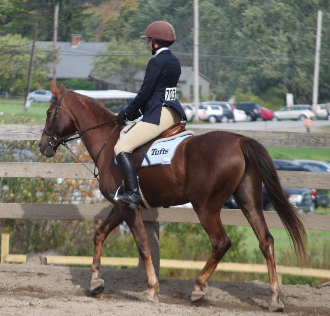 Photo for WOMEN'S EQUESTRIAN PLACES THIRD AT TUFTS UNIVERSITY image 73