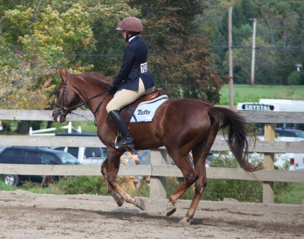 Photo for WOMEN'S EQUESTRIAN PLACES THIRD AT TUFTS UNIVERSITY image 79