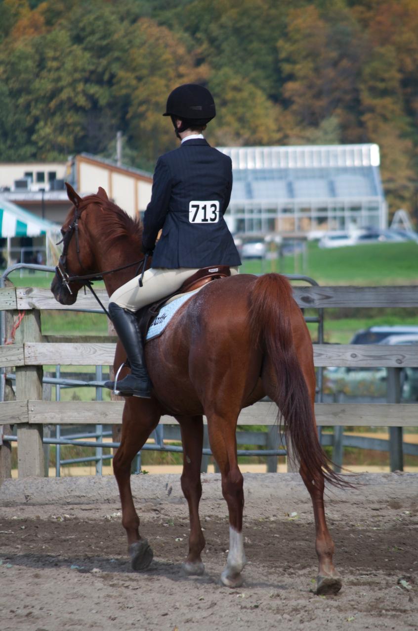Photo for WOMEN'S EQUESTRIAN PLACES THIRD AT TUFTS UNIVERSITY image 81