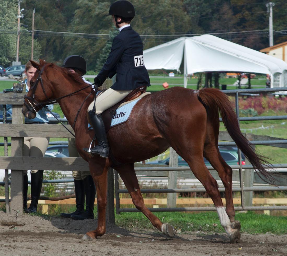 Photo for WOMEN'S EQUESTRIAN PLACES THIRD AT TUFTS UNIVERSITY image 85