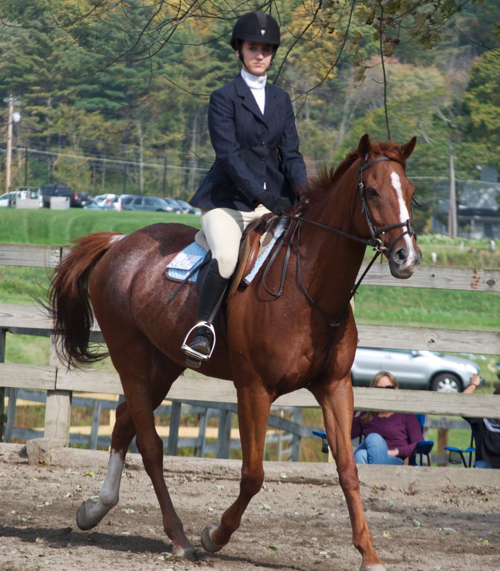 Photo for WOMEN'S EQUESTRIAN PLACES THIRD AT TUFTS UNIVERSITY image 87