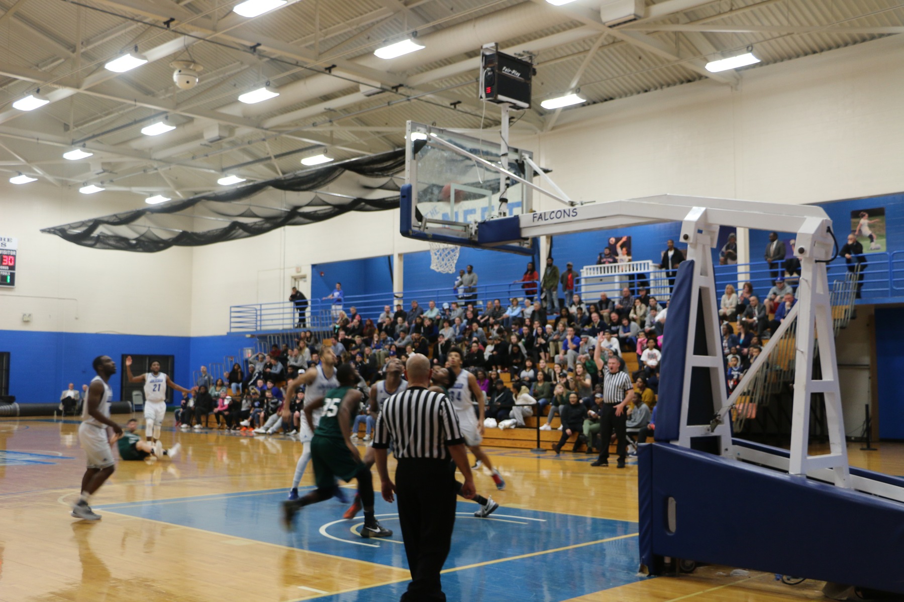 Photo for Tournament Run Reaches an End with Semifinals Appearance image 20