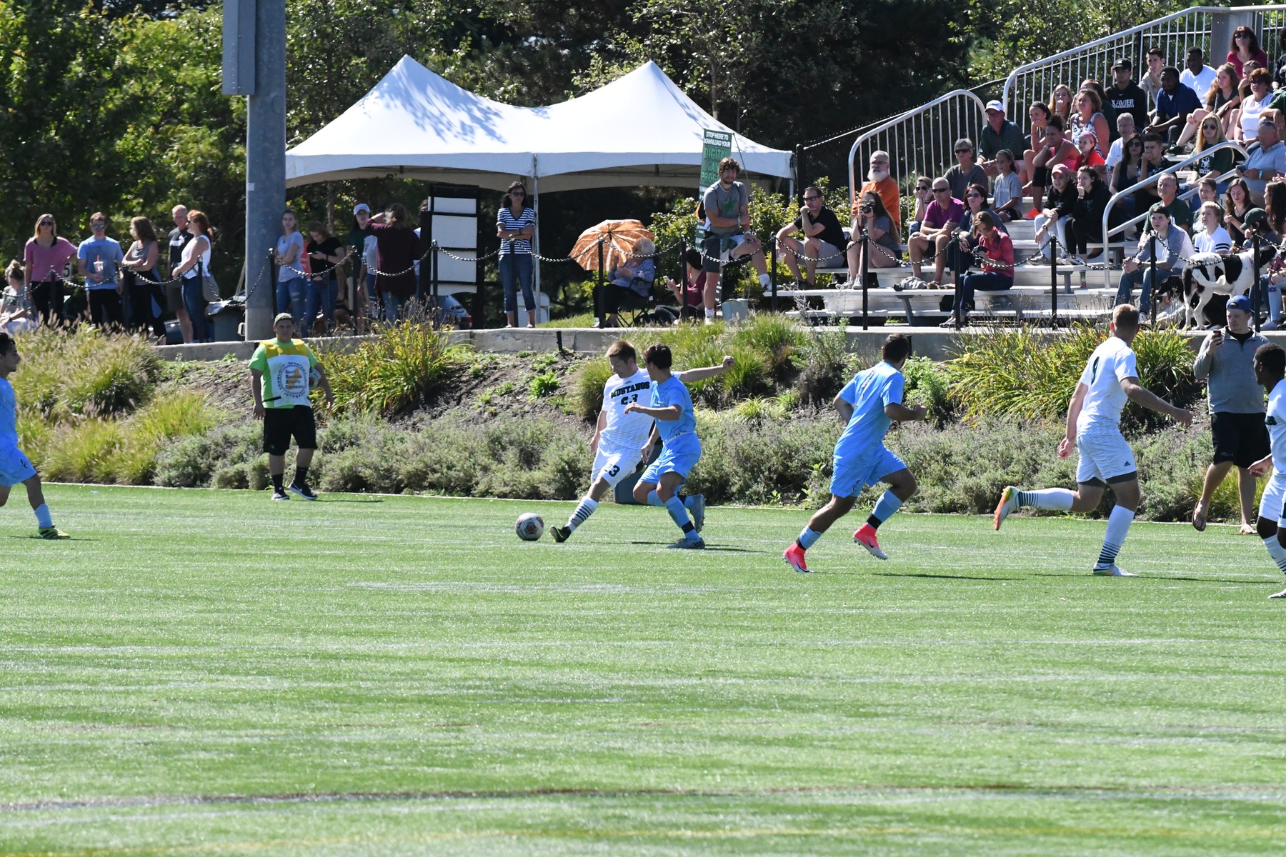 Photo for Brenes Scores in 5th Home Game, Mustangs Blank Lasers image 13