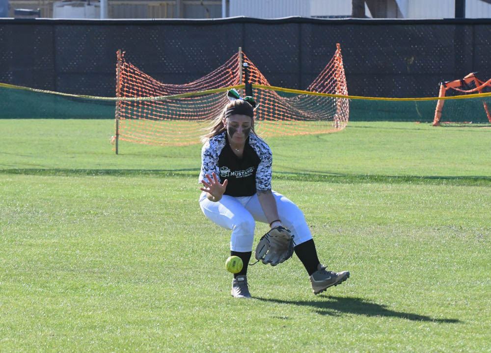 Photo for Neilan Raps Out Four Hits As Softball Tops Pitt-Greensburg At The Spring Games image 4