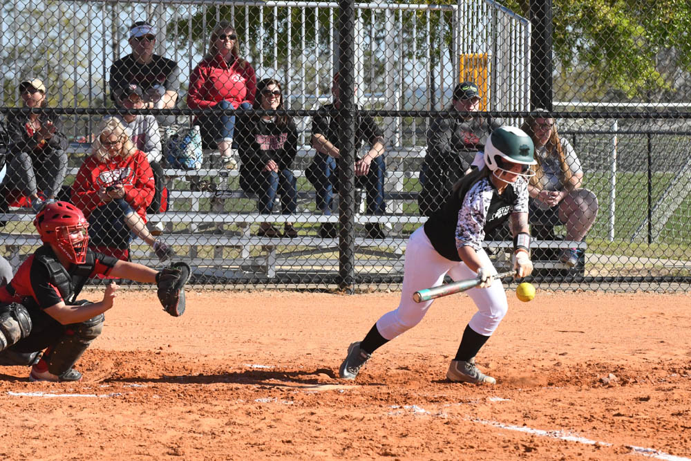 Photo for Neilan Raps Out Four Hits As Softball Tops Pitt-Greensburg At The Spring Games image 6