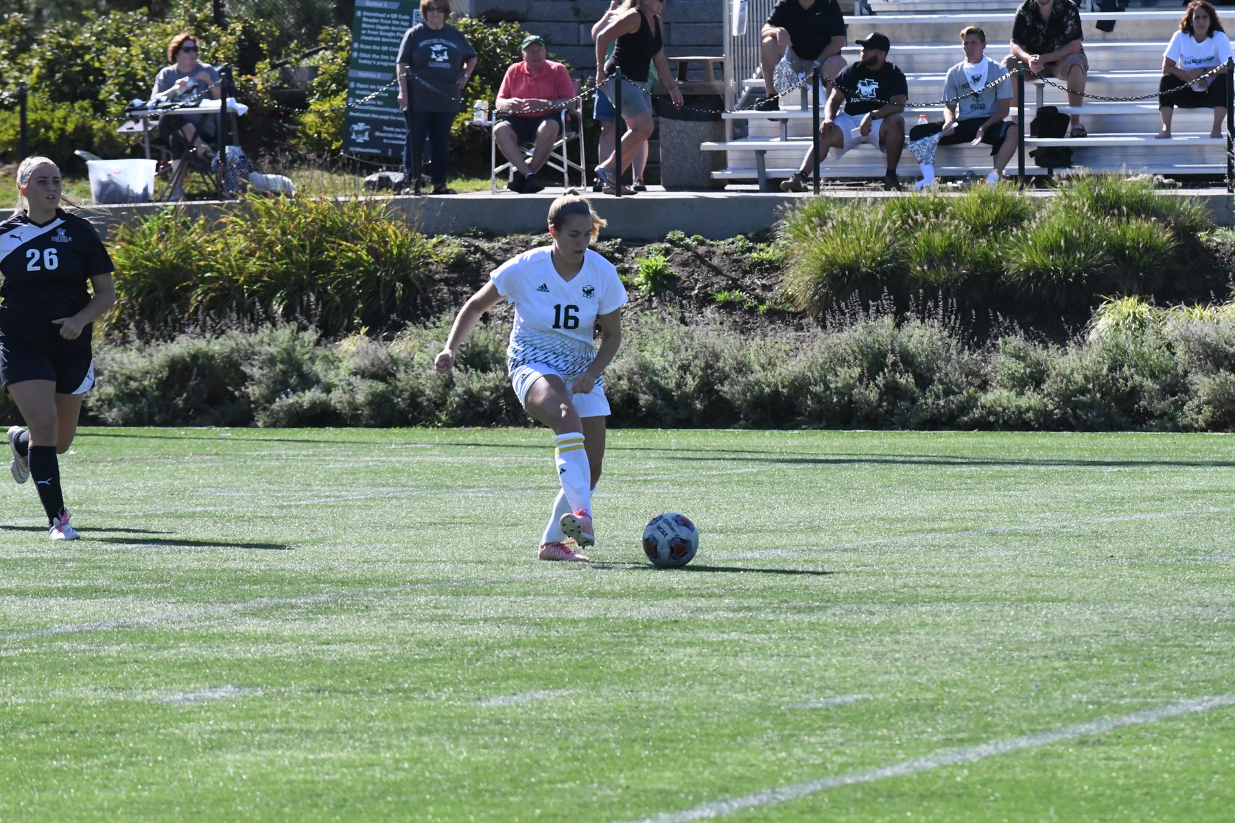 Photo for After Decade-Long Wait, Mustangs Get Win Over Rams image 1