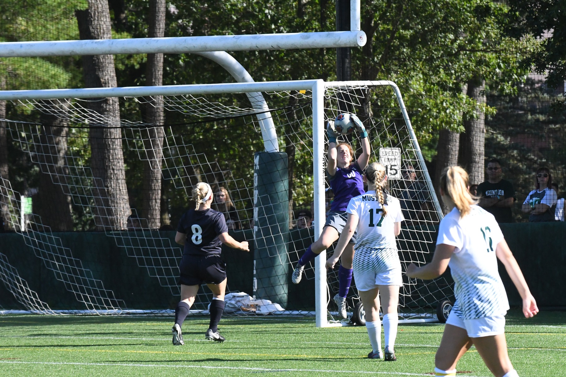 Photo for After Decade-Long Wait, Mustangs Get Win Over Rams image 16