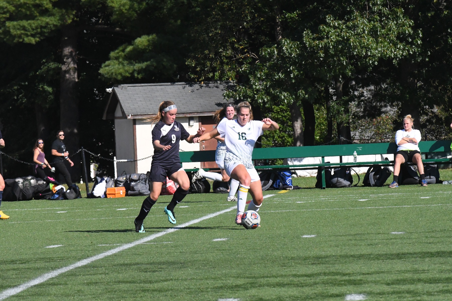 Photo for After Decade-Long Wait, Mustangs Get Win Over Rams image 19